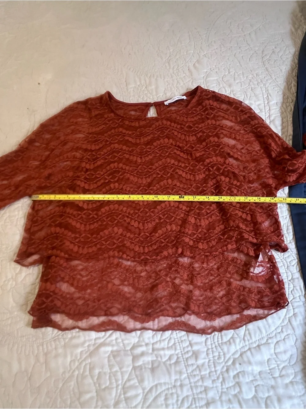 Zara Rust Lace Long-Sleeve Sheer Blouse
